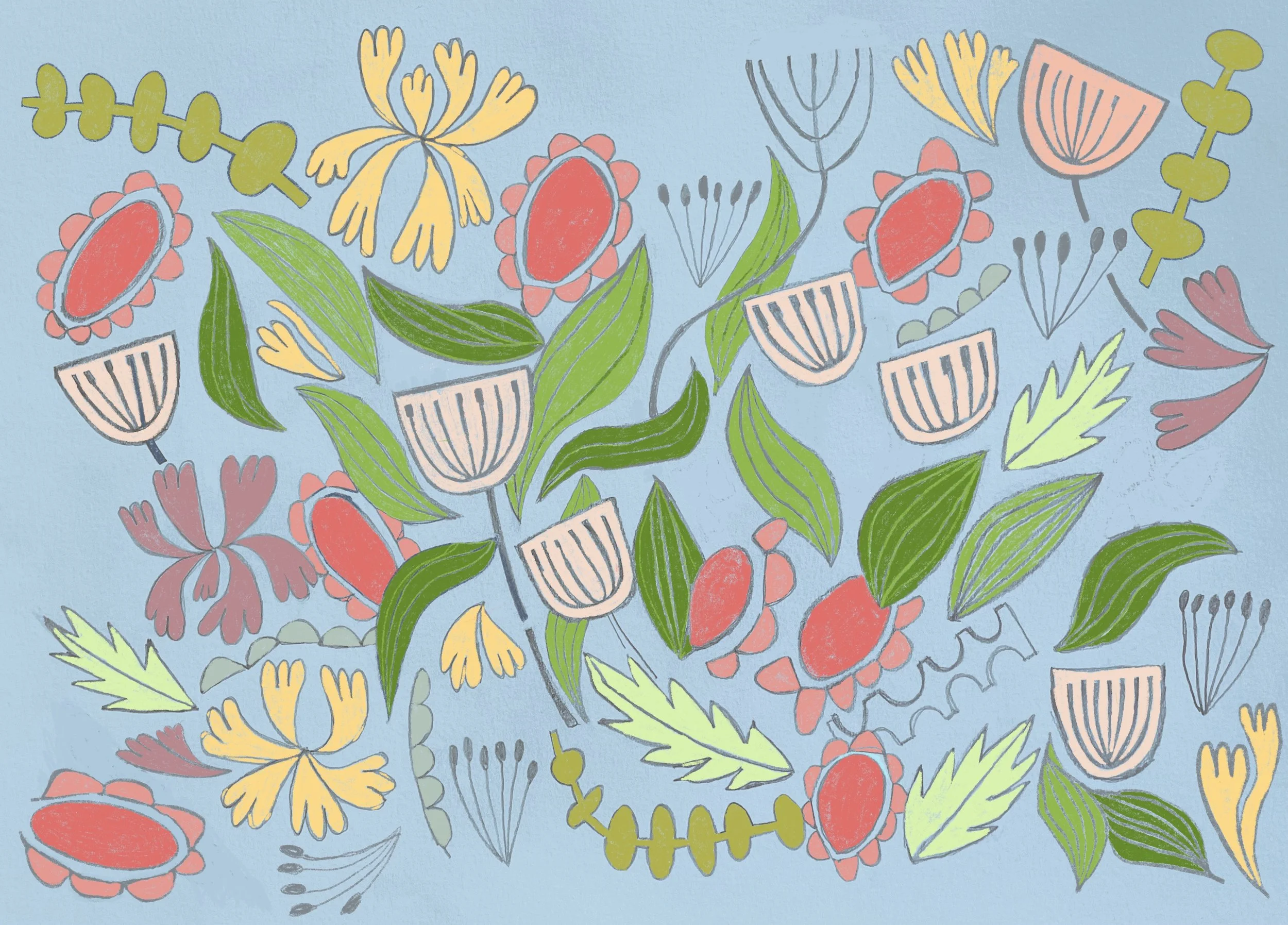+ white tulips on blue +