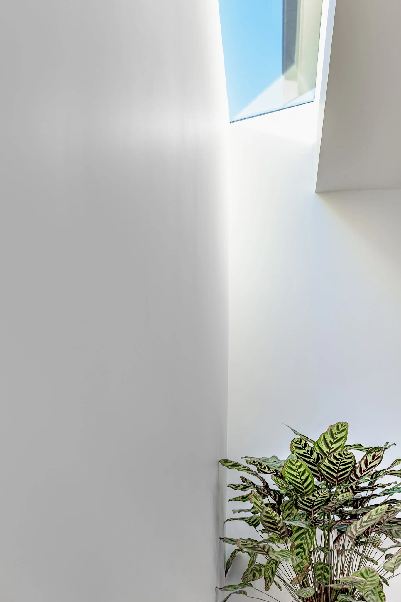 ML House