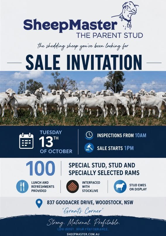 The SheepMaster Parent Stud Spring On-Property Ram Sale