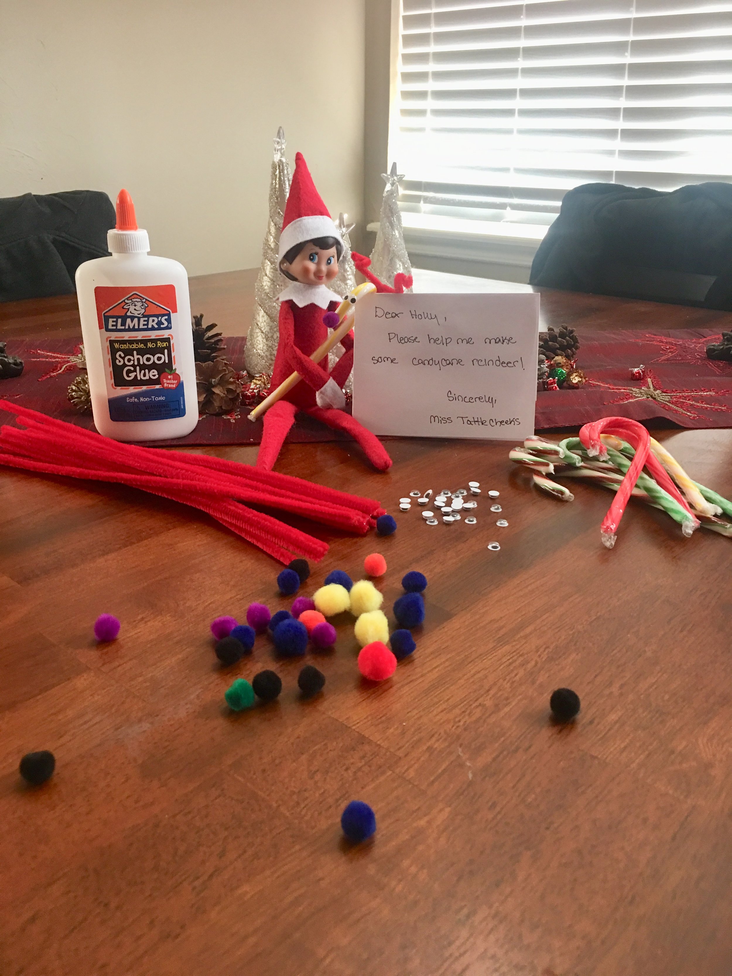 First year doing the Elf in the Shelf!