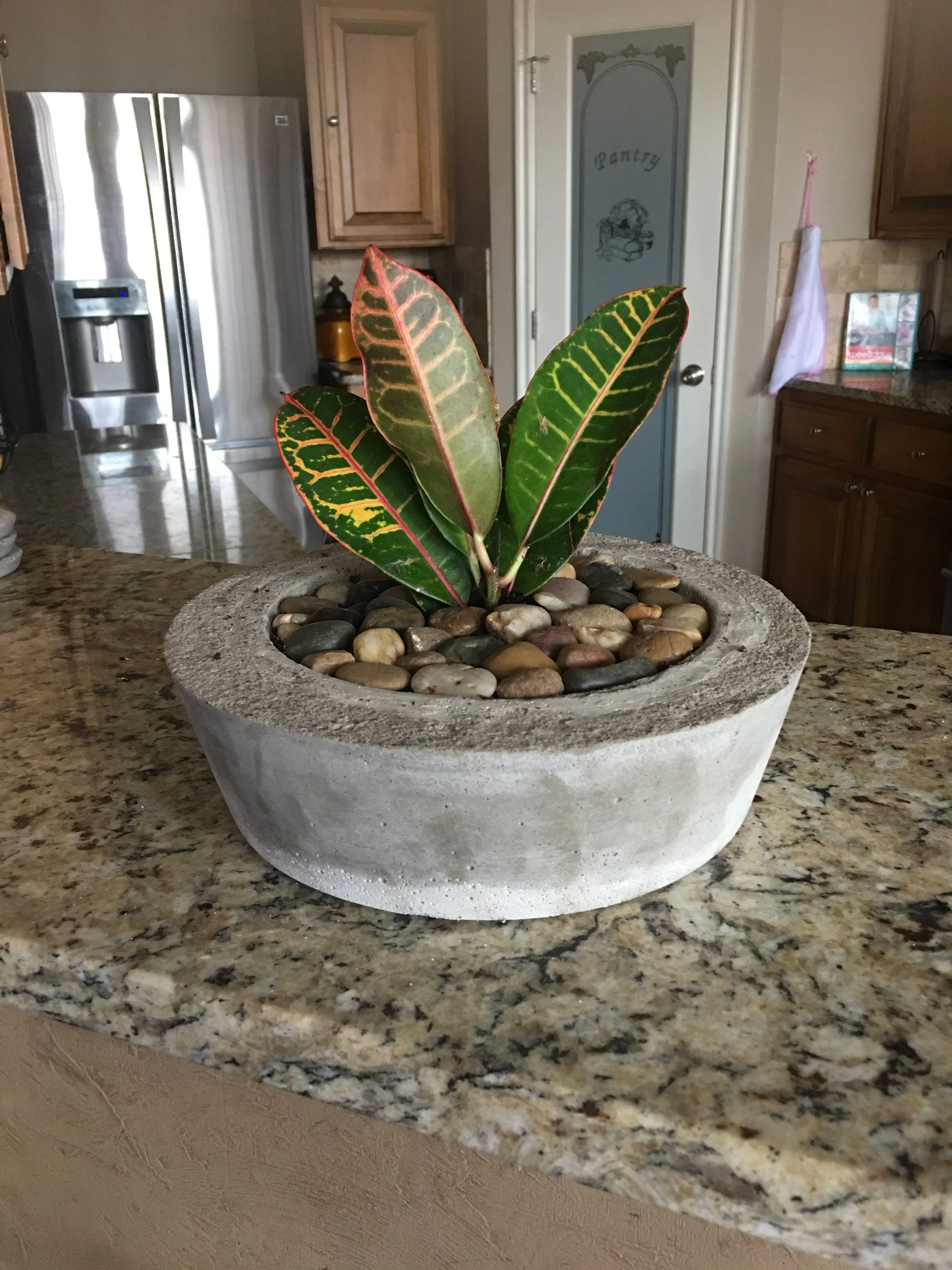 DIY Concrete Planters
