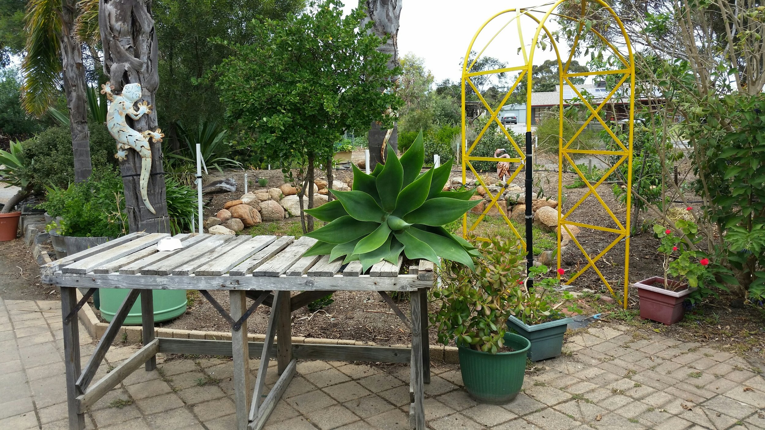 Community Garden.jpg