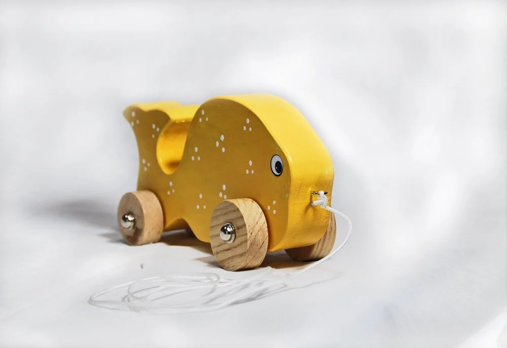 pullalongtoy3.jpg