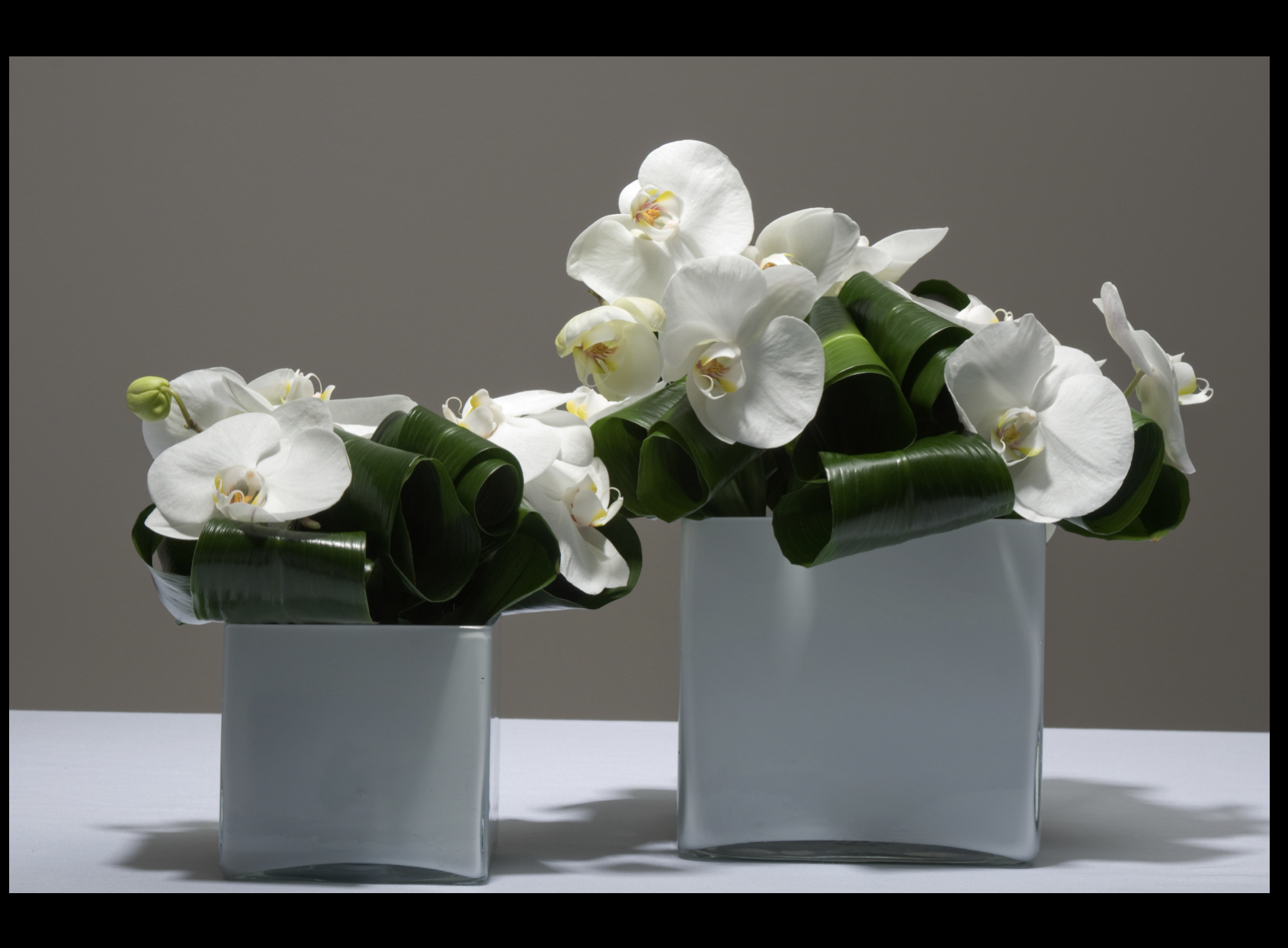 Screen Shot 2018-11-21 at 7.09.42 PM.png