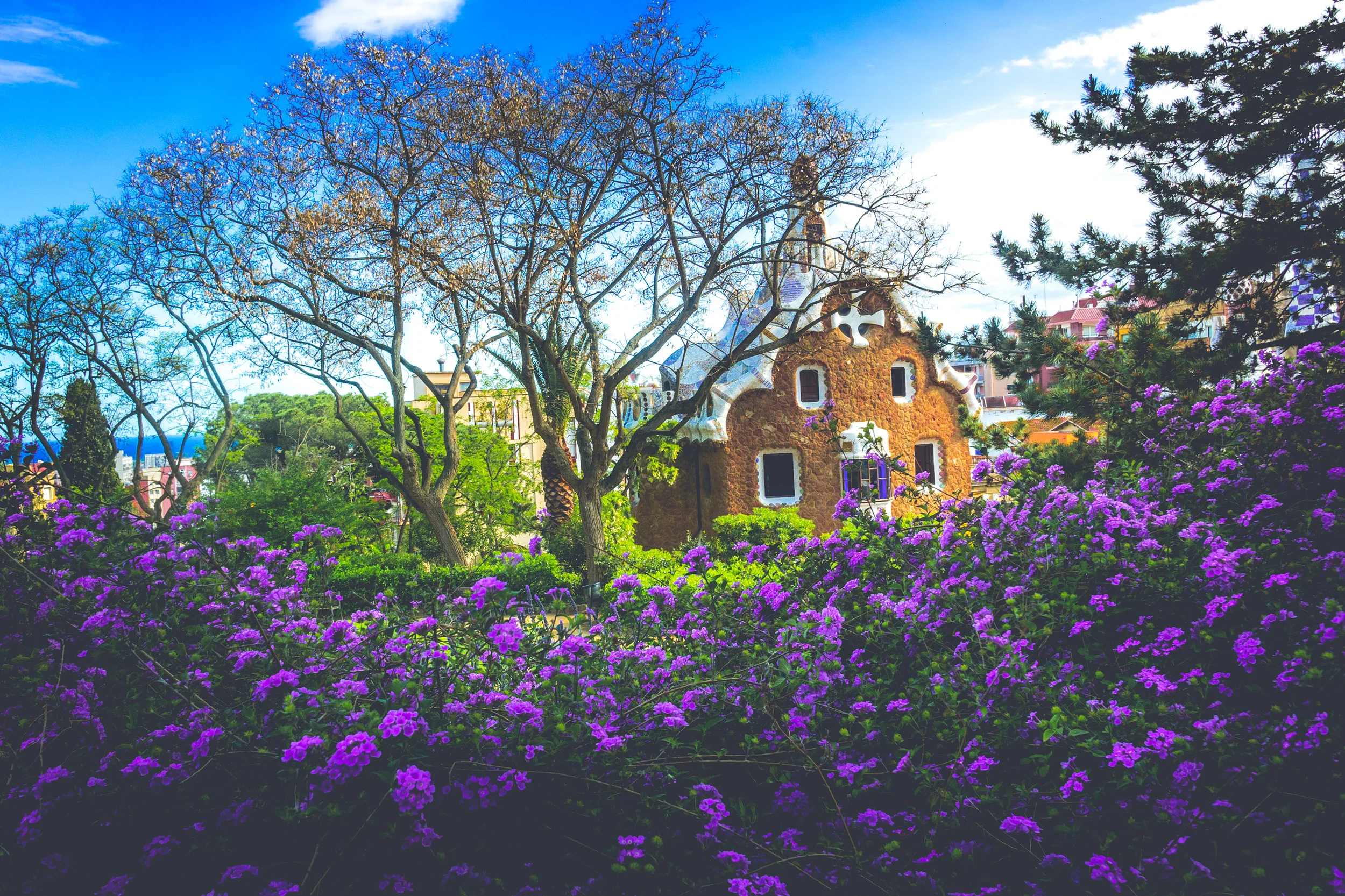 A little bit of effort spent on the garden goes a long way.