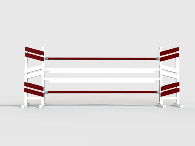 Skinny angle standards Front.JPG