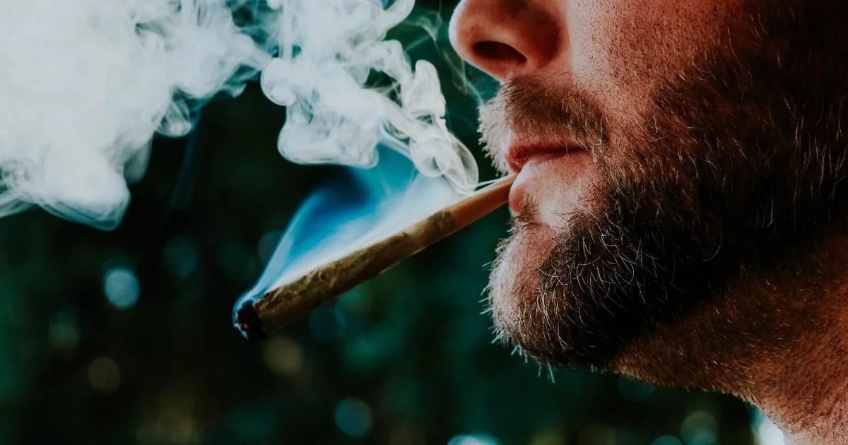 Marijuana and Your Oral Health