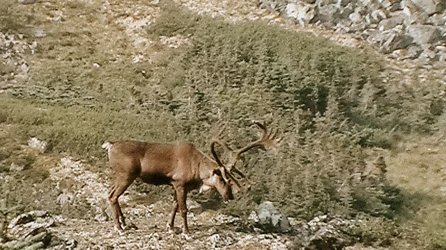 H1050001.jpg
