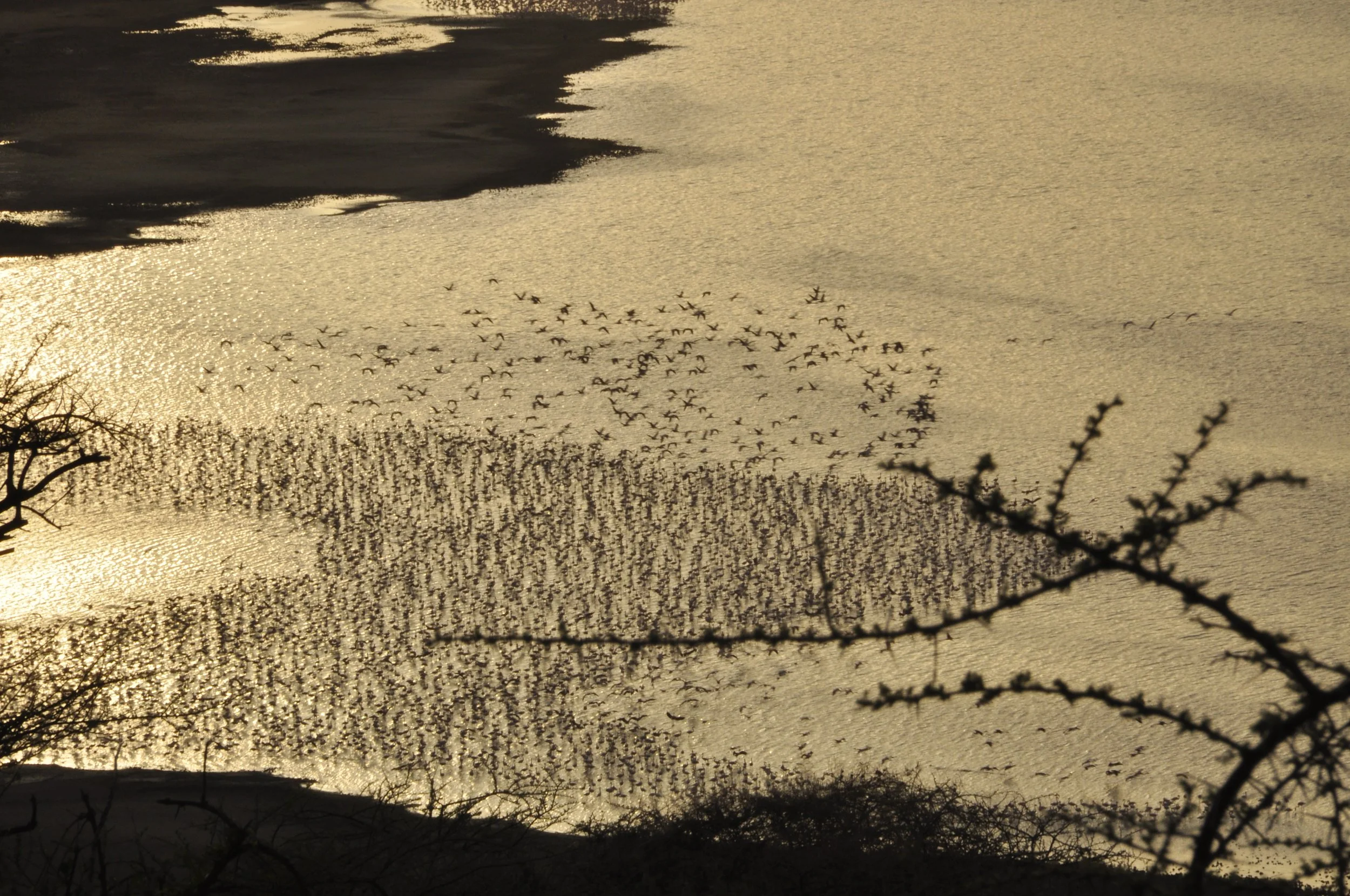 CATALYSING SYSTEM CHANGE AND IMPACT 