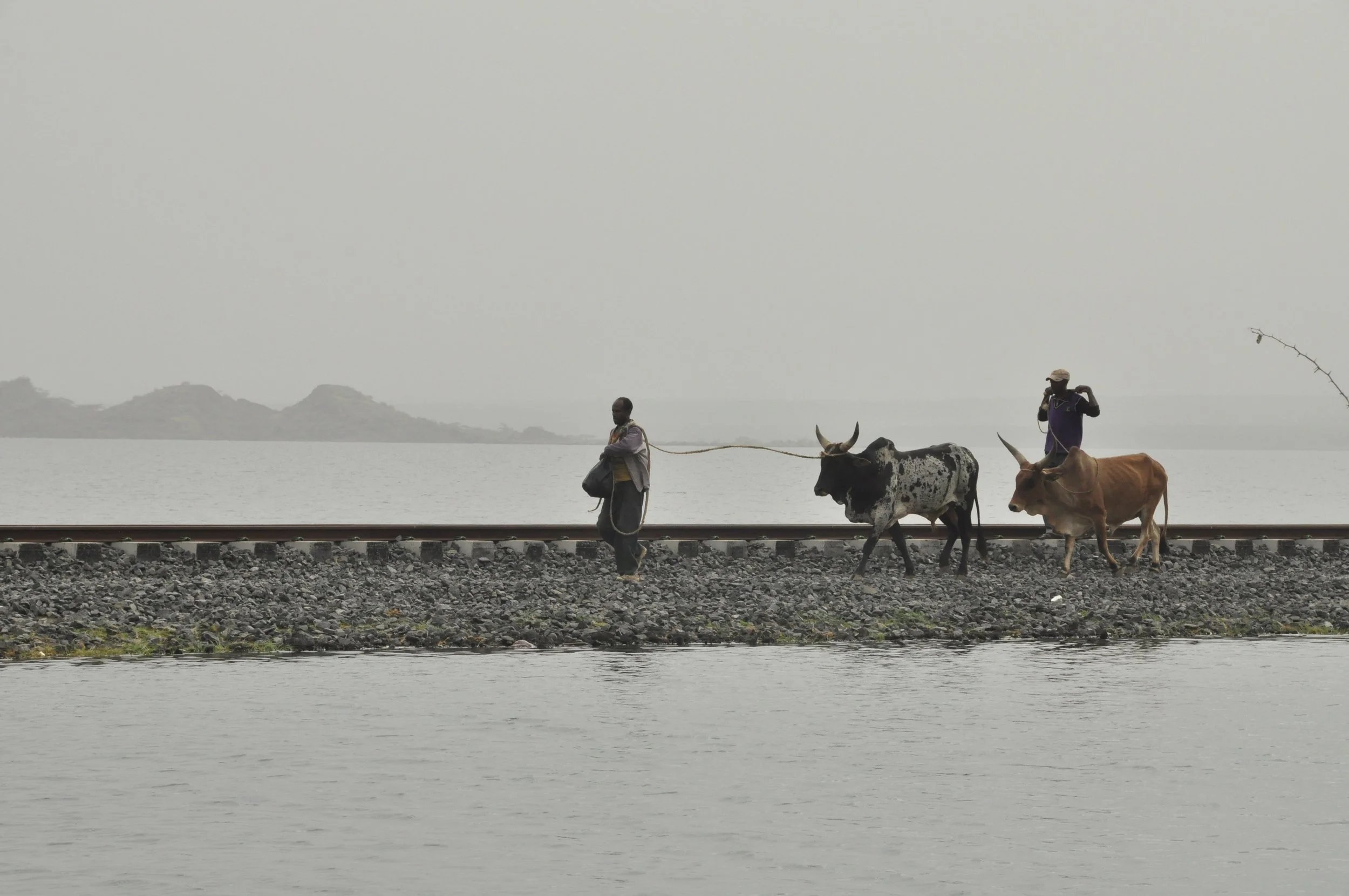 CATALYSING SYSTEM CHANGE AND IMPACT