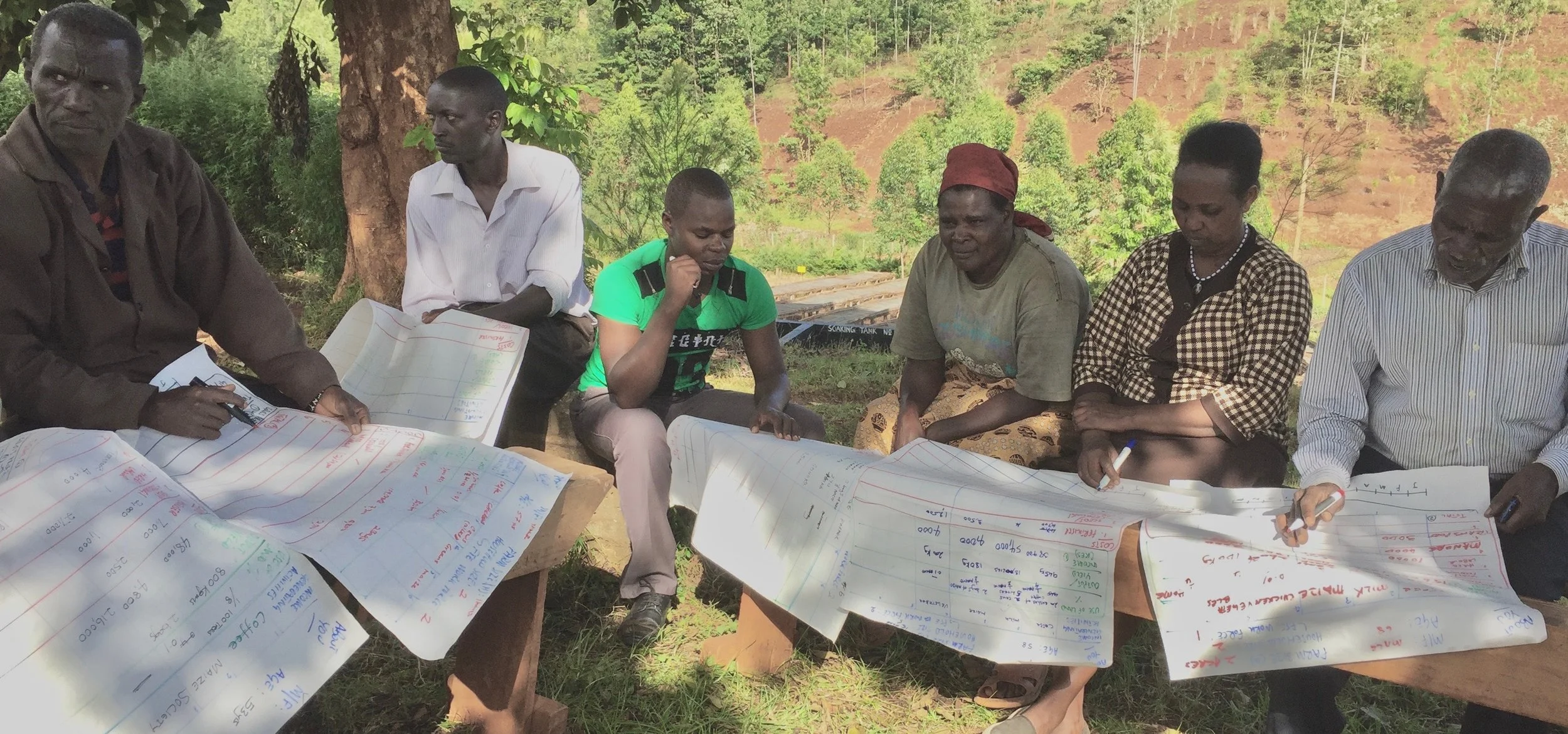 Participatory Market Mapping