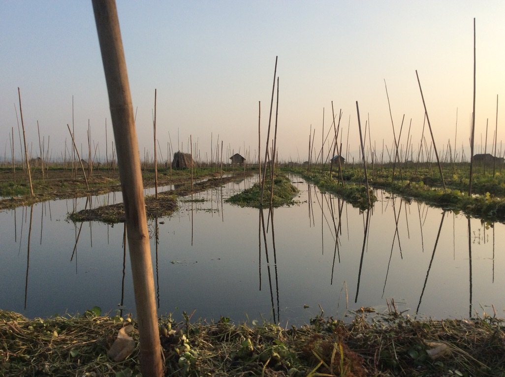Developing a unified and integrated ‘One CGIAR’ parnership for systems transforming agricultural research amid the climate crisis