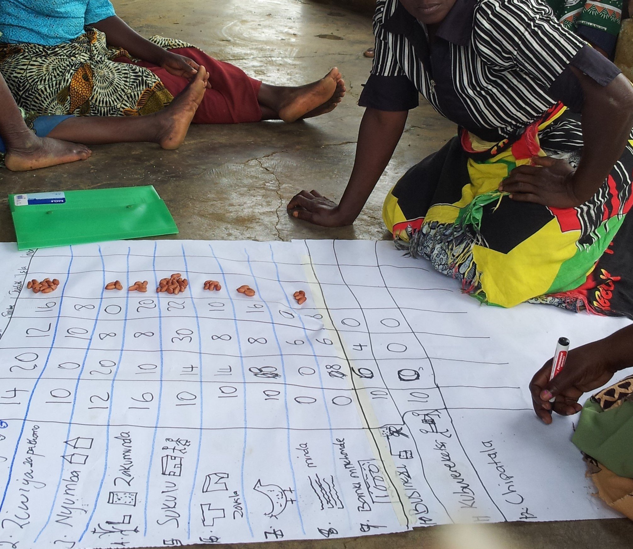 Using Participatory Statistics to assess the impact of DFID-FAO-UNICEF's cash transfer programme on household economies and networks in Ethiopia, Ghana, Kenya, Zimbabwe, and Lesotho