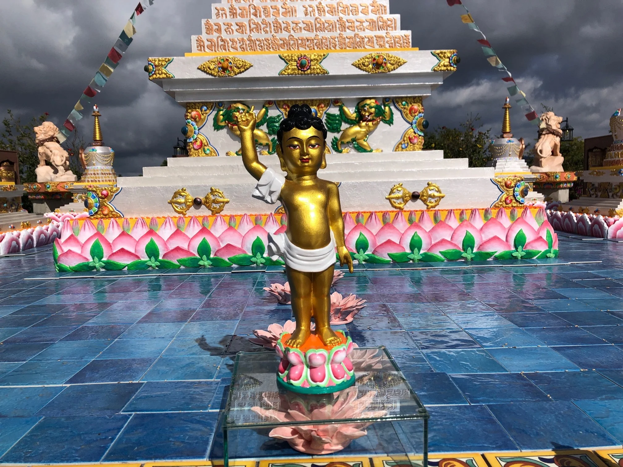 baby_buddha_3.jpg