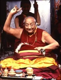 dilgo_khyentse_quote.jpg