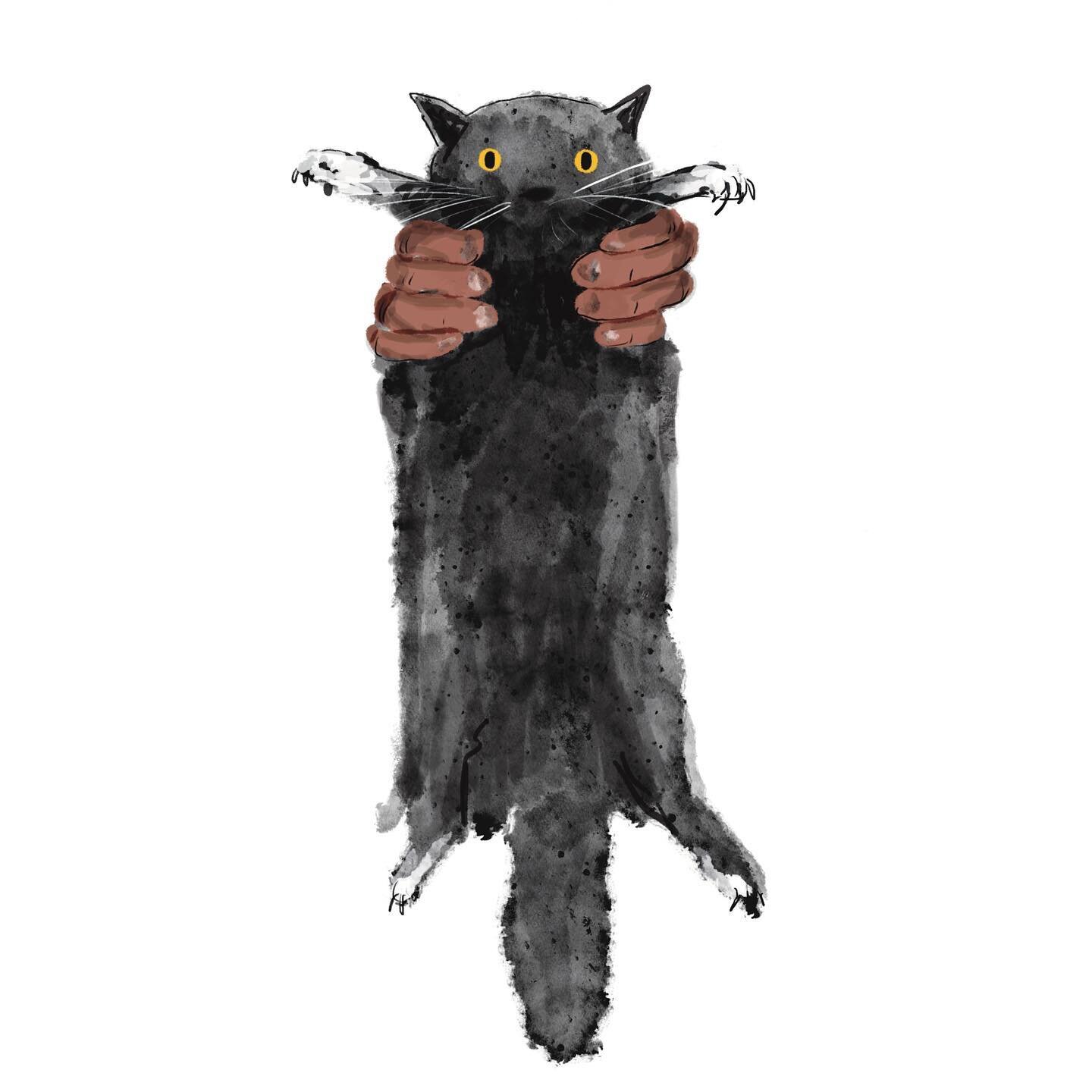 This cat is the hero of a book I&rsquo;ve been illustrating. I love this picture. It&rsquo;s exactly how I feel a lot of the time! 

&ldquo;Excuse me, but my name is NOT &lsquo;Mittens&rsquo;!&rdquo; Is a heartwarming tale about what exciting adventu