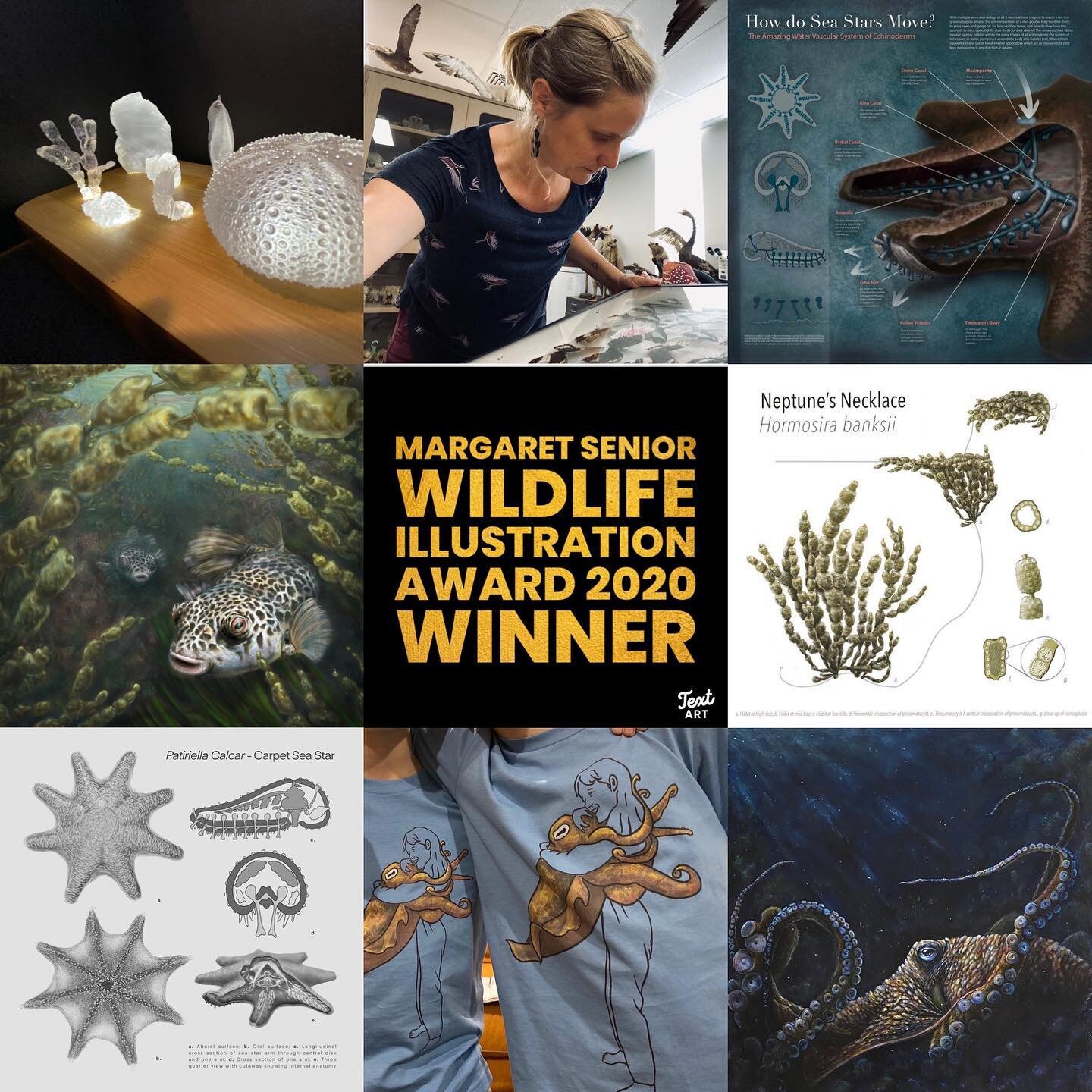 It&rsquo;s an honour to announce that I have won the 2020 Margaret Senior Wildlife illustration Prize from the University of Newcastle for my portfolio of works on the ecology of rock pools in SE Australia. 

Margaret Senior OAM (1917-1995) was one o