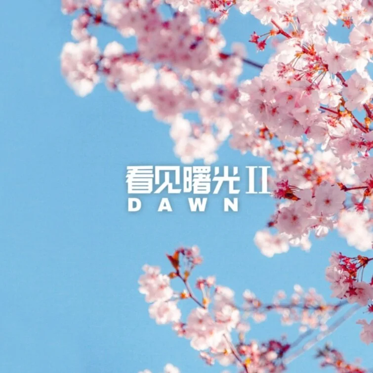 SEE Music「Dawn II 看见曙光II」Participating Works