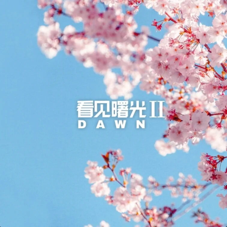 Dawn II 看见曙光II