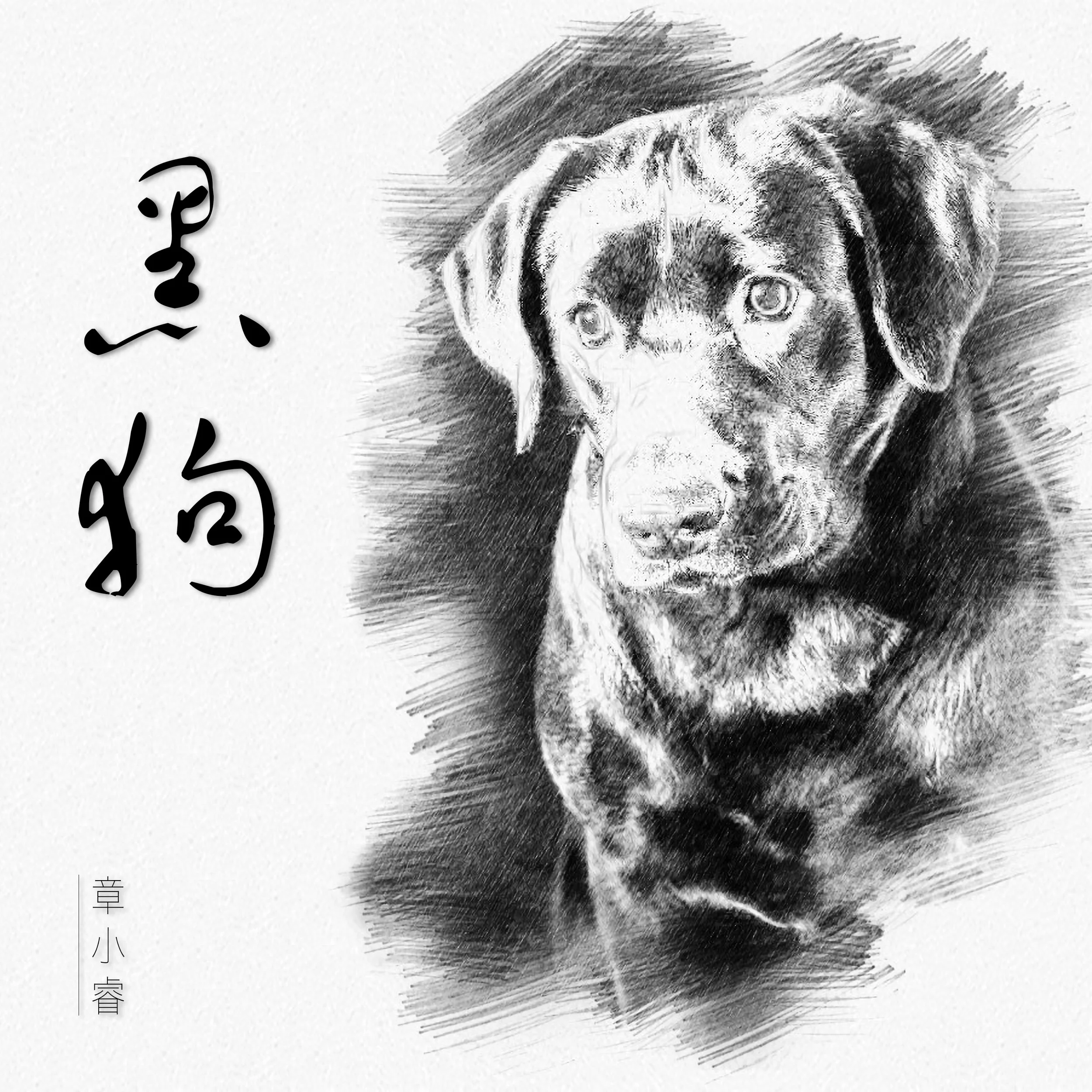 Black Dog 黑狗