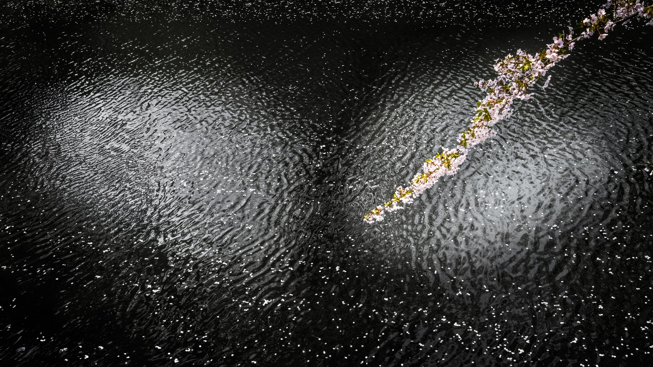 HS-202504-3219-Edit.jpg