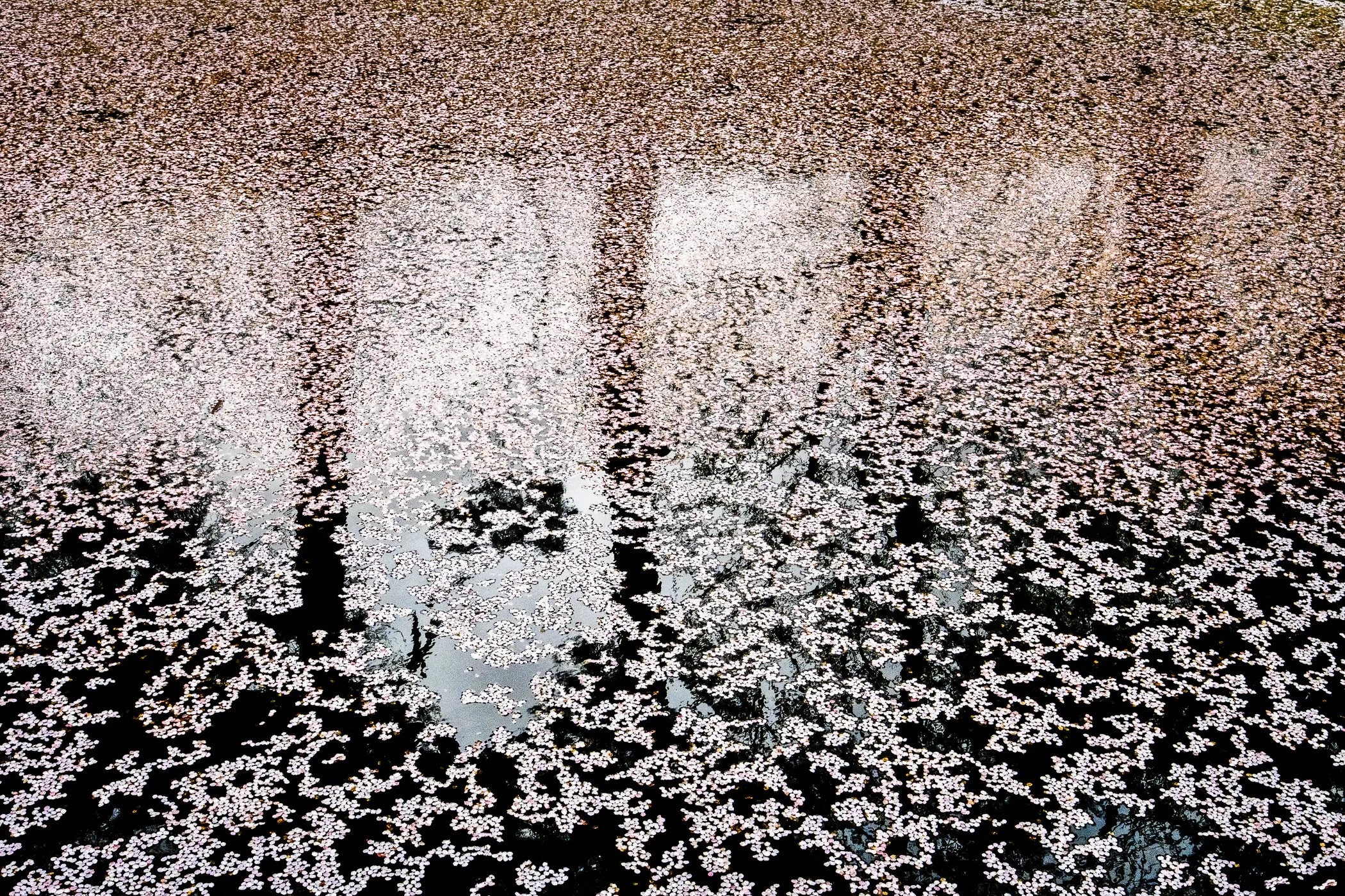 HS_202504-9108-Edit.jpg