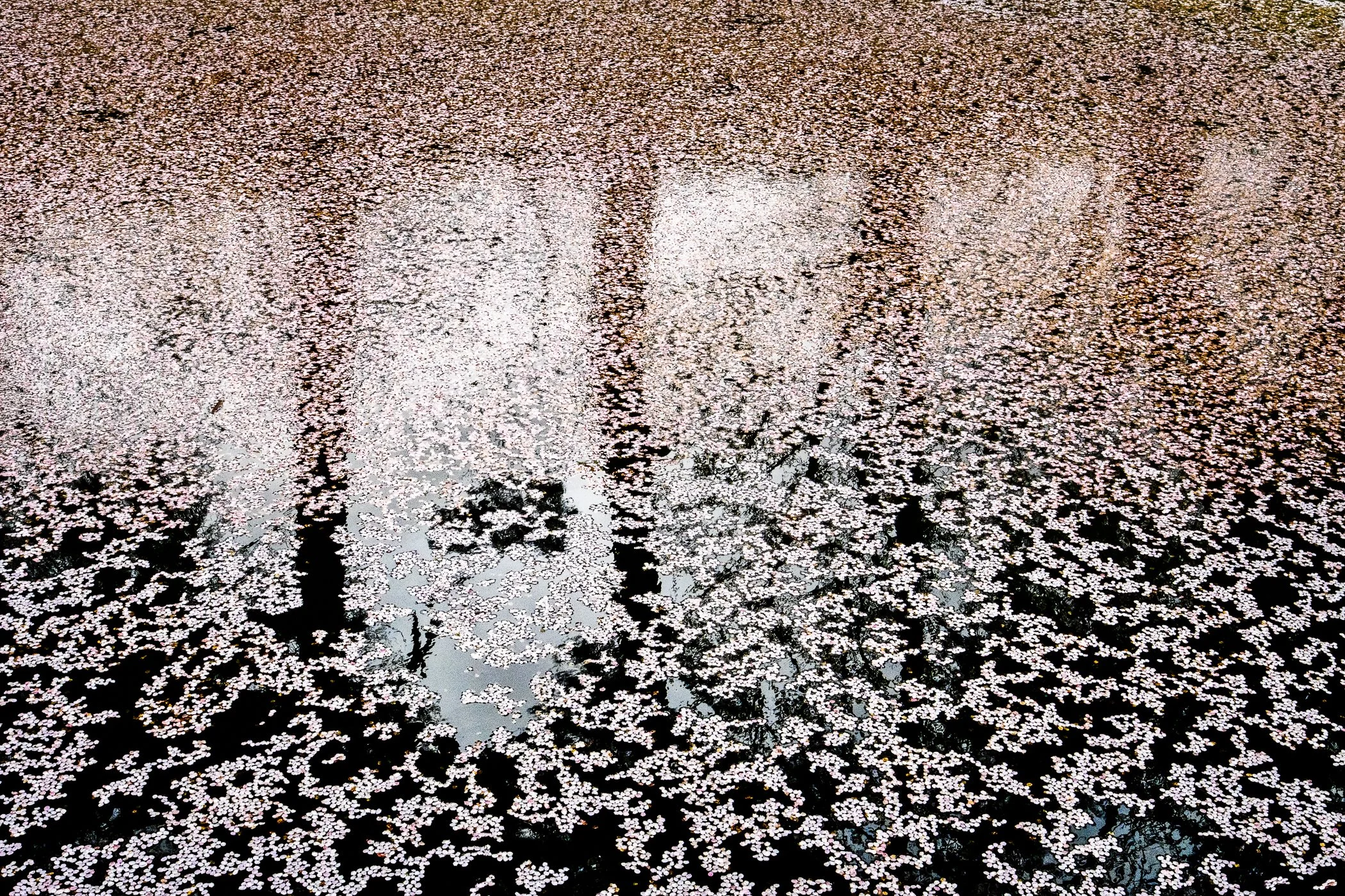 HS_202504-9108-Edit.jpg