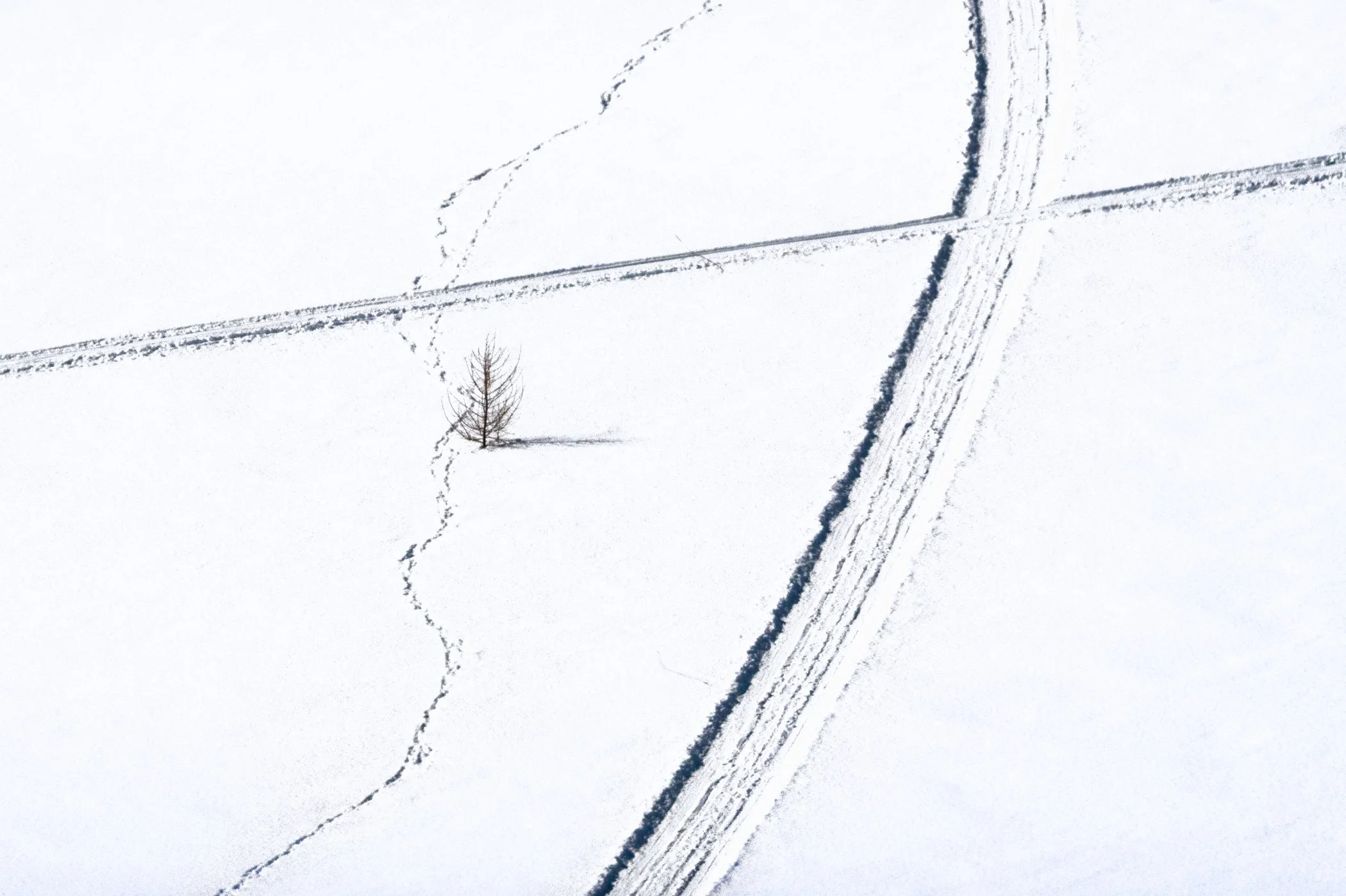 FB_202412-10030-Edit_v2_x.jpg