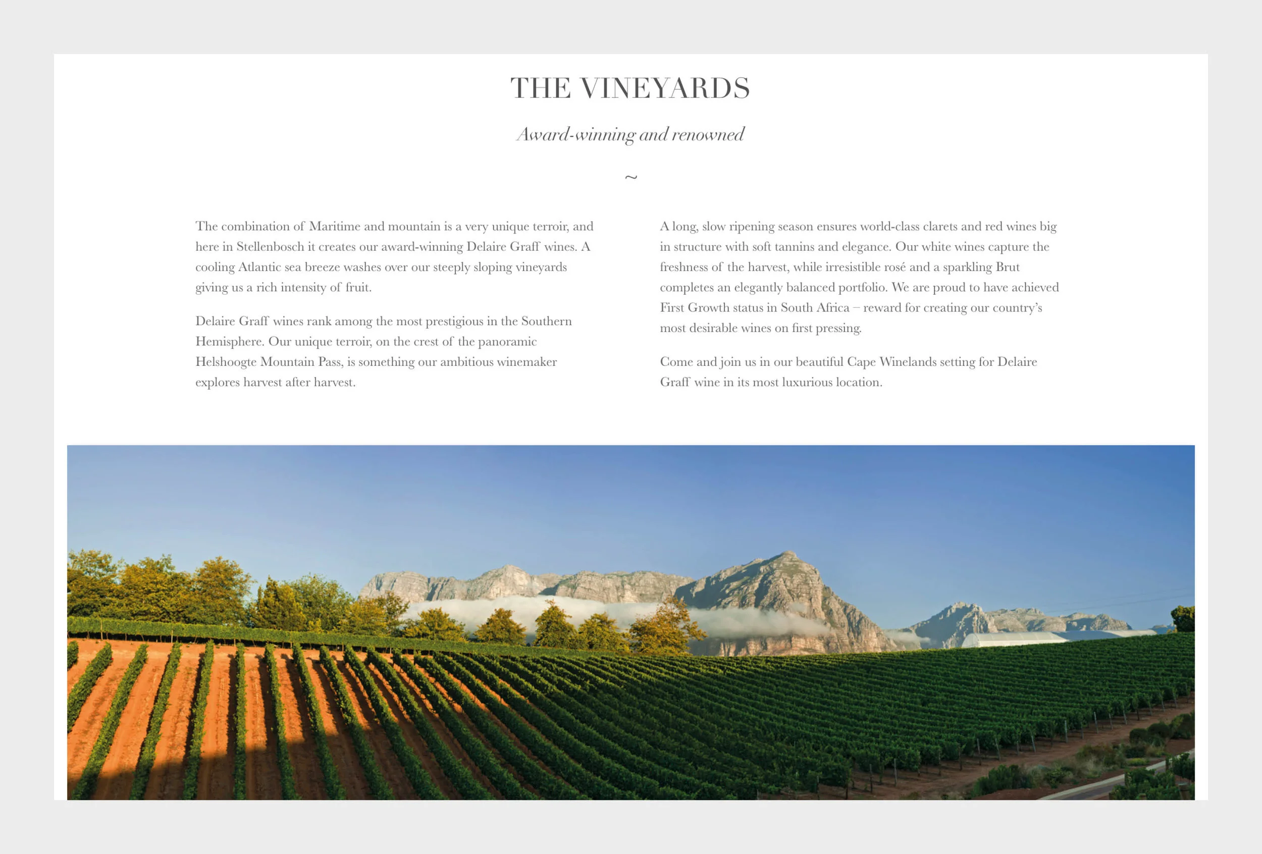 Copy for vinophiles