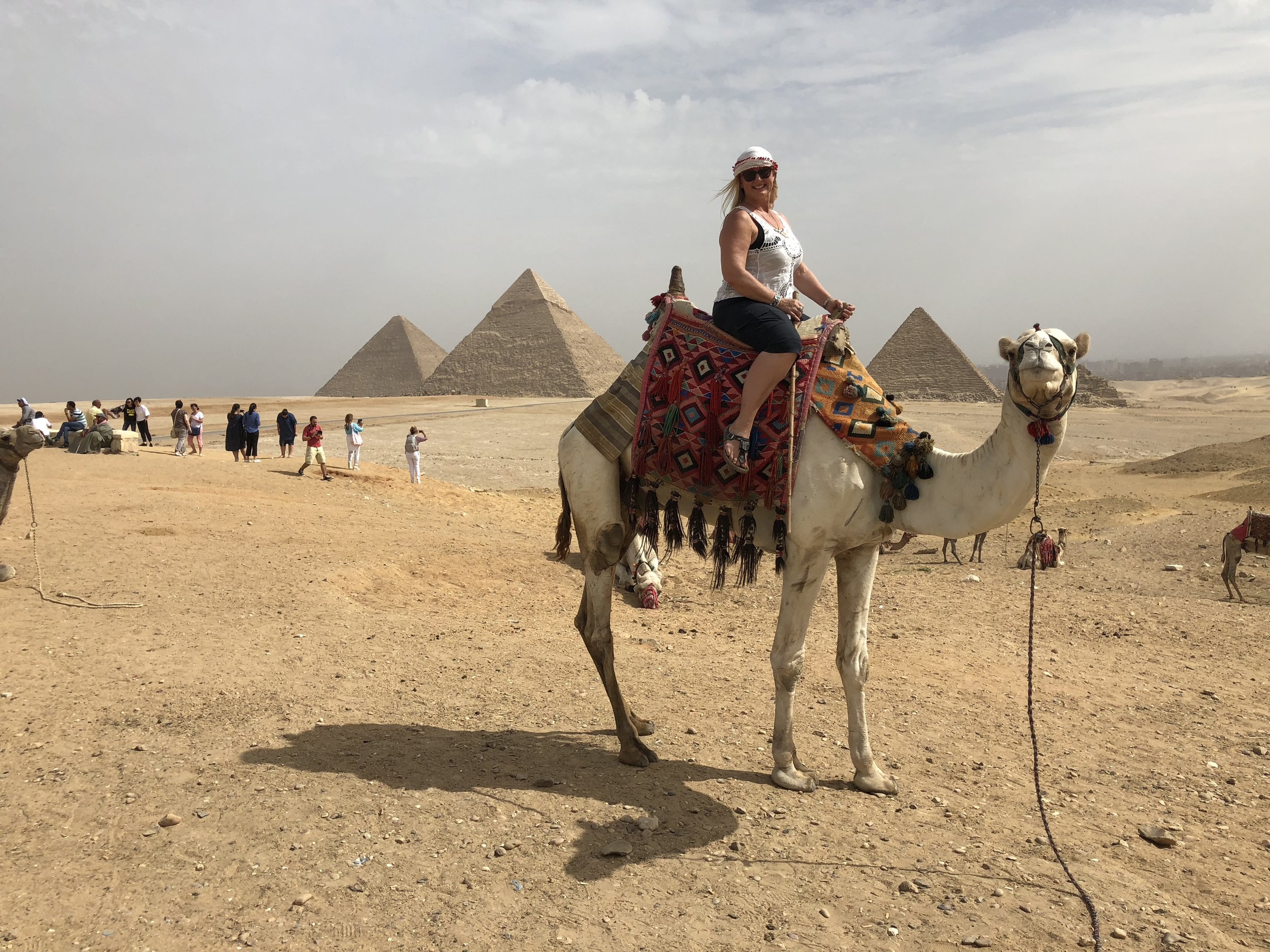 My adventure and fascination with camel rides Egypt