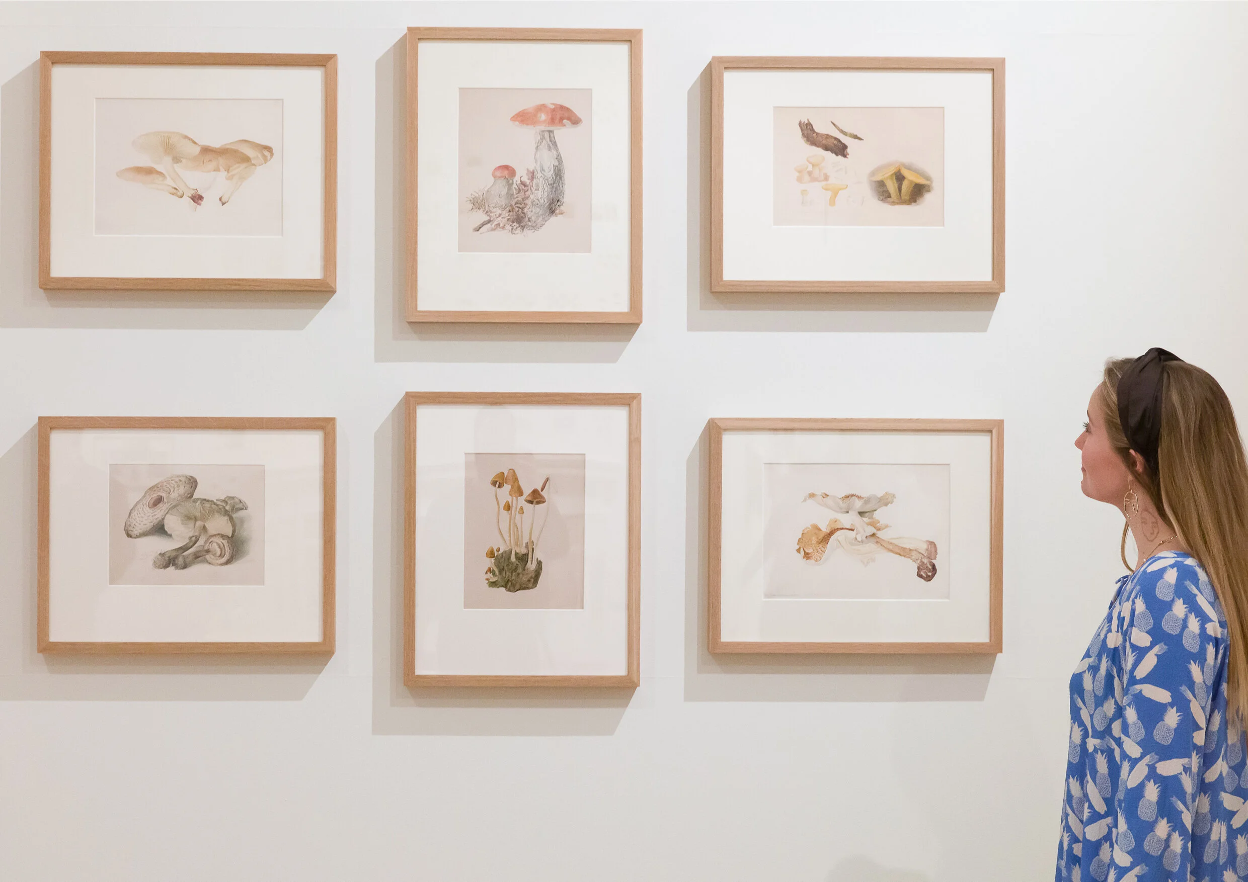 'Mushrooms: The art and design of Fungi' at Somerset House Photo: Mark Blower