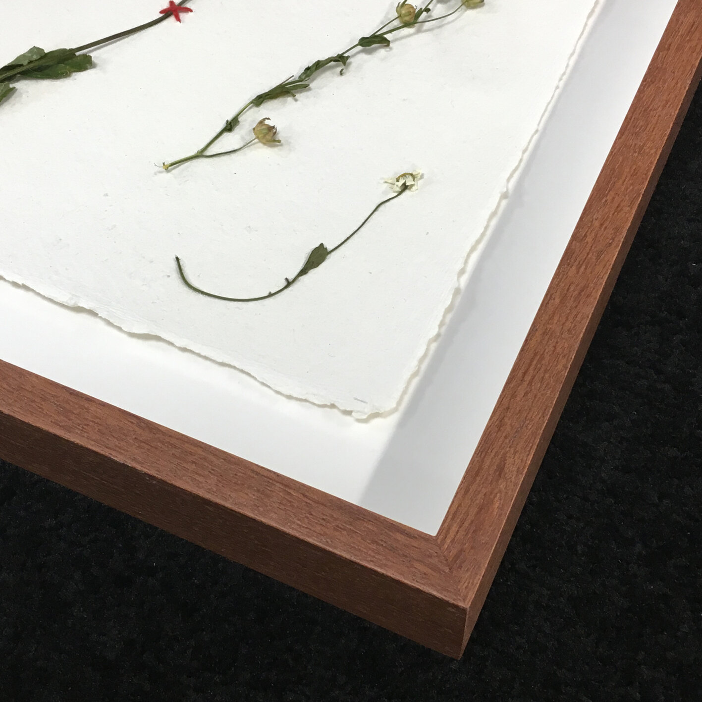Mounting | Preserve and Showcase - Get Expert Framing — Frame London