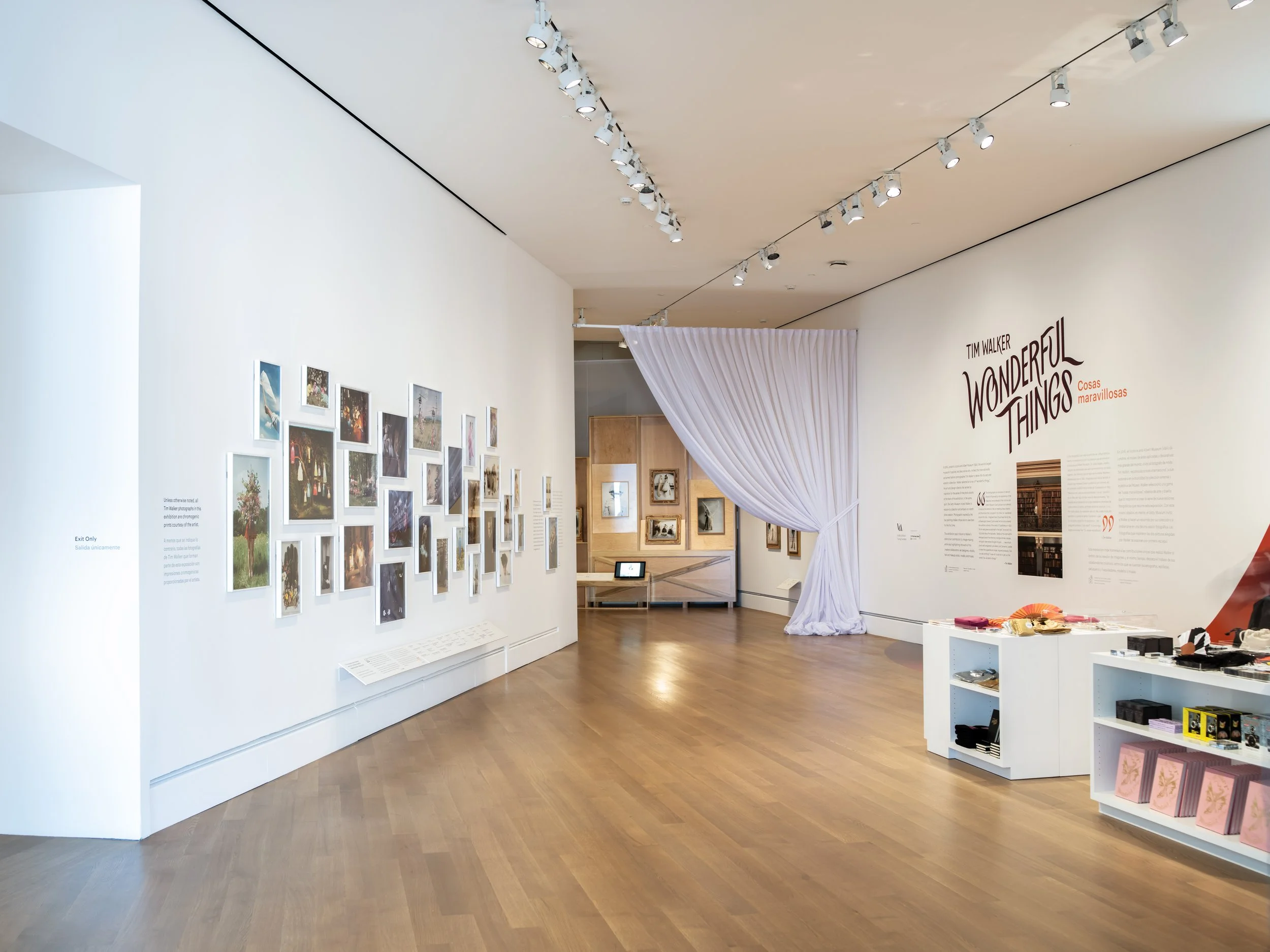 Tim Walker at Getty, 'Wonderful Things'