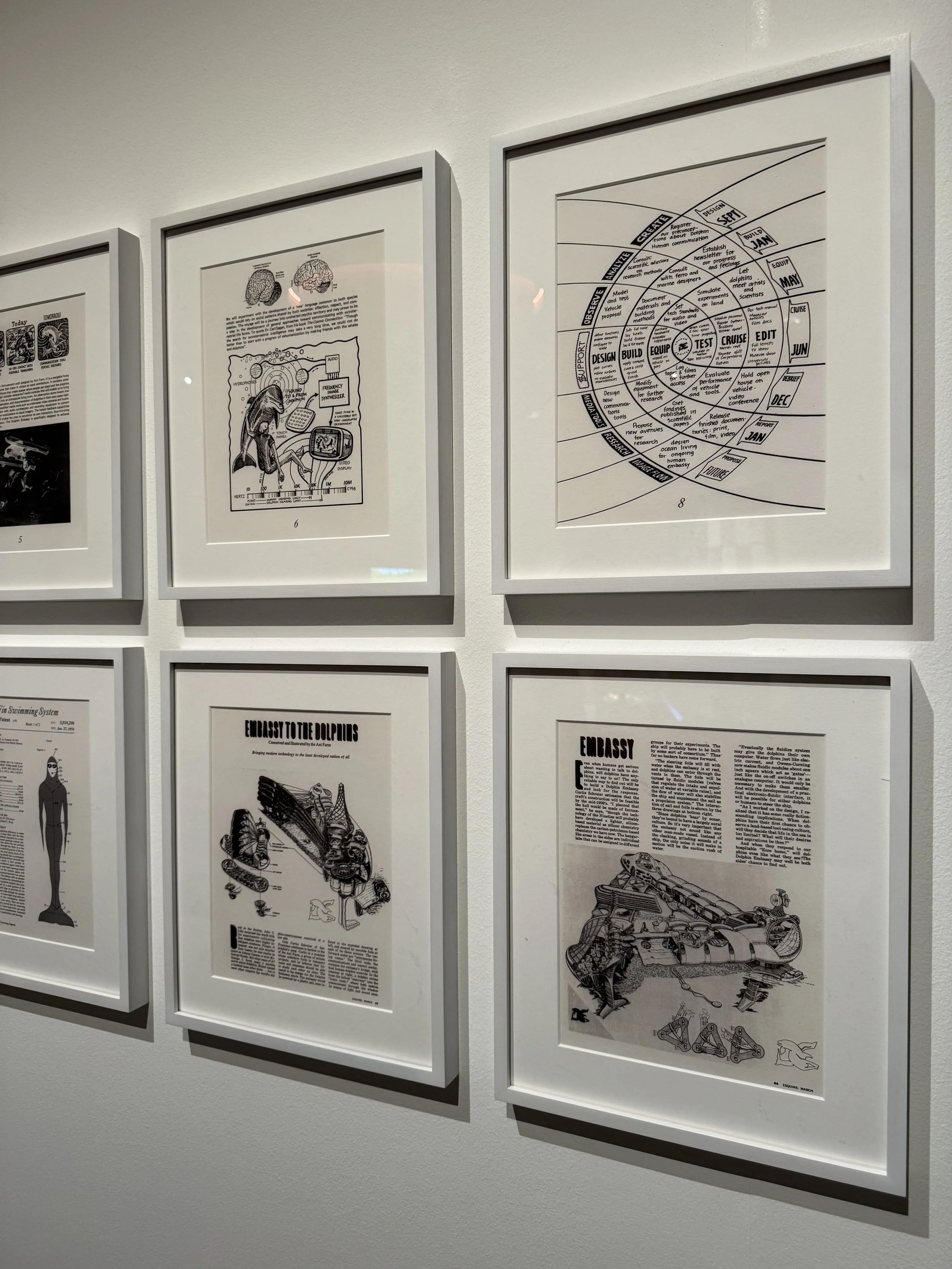 Design Museum 'More than Human'