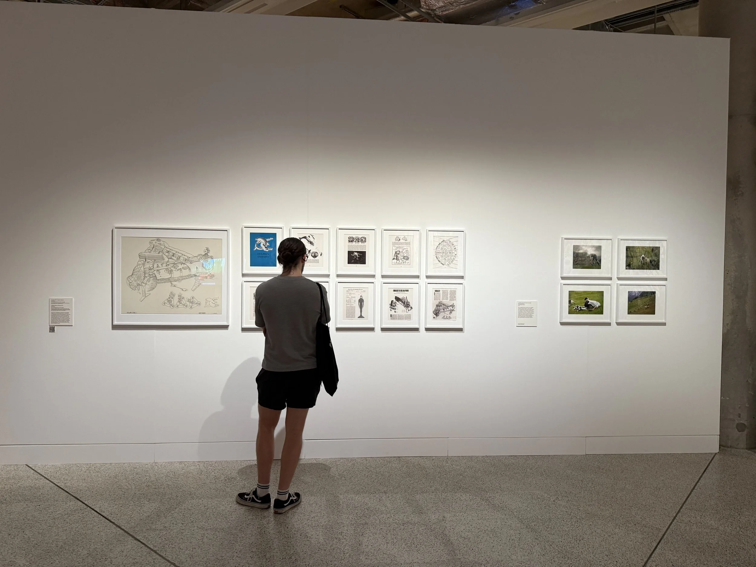 Design Museum, 'More than Human'