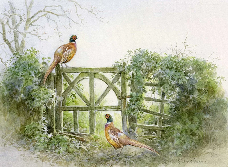 Gateway and Pheasants
