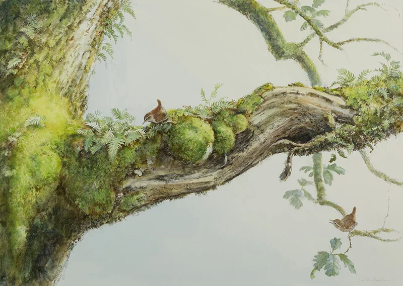 The Eternity of Nature