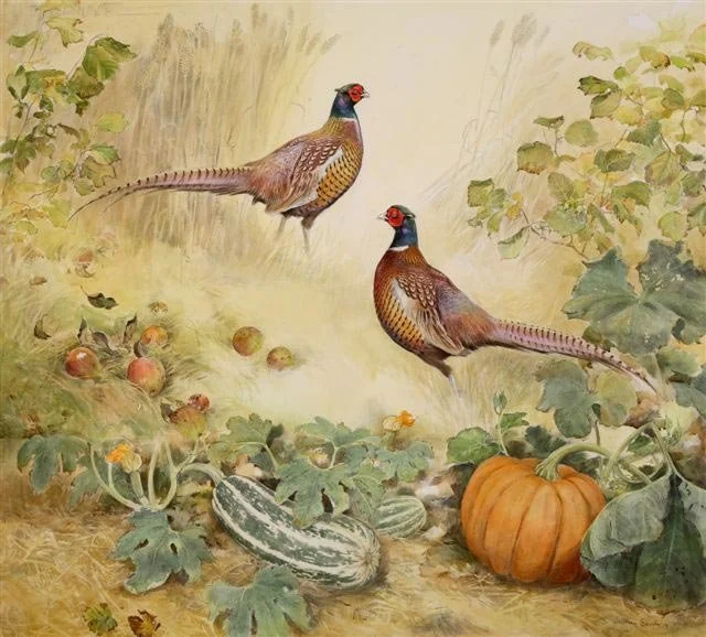 COCK PHEASANT by Laurie Lee. Charcoal and Watercolour. 42 x 46 inches