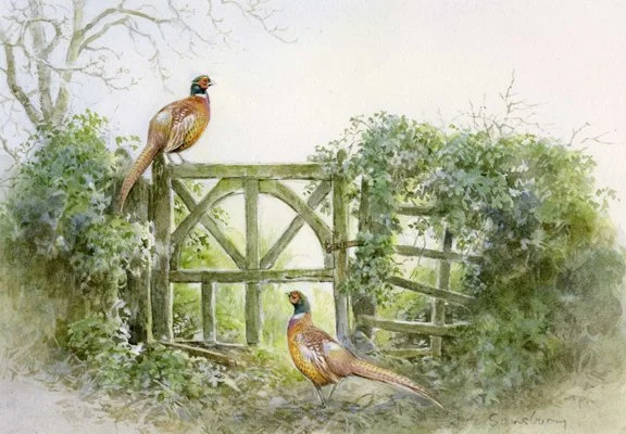 PHEASANT GATE. 70 x 100mm ( 2.7 x 4 inches )