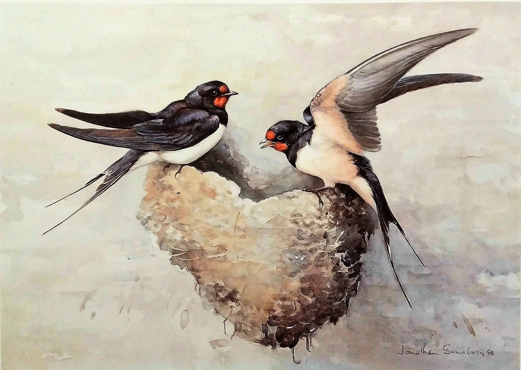 Swallows 10 x 14 inches print edition 650 (3).jpg
