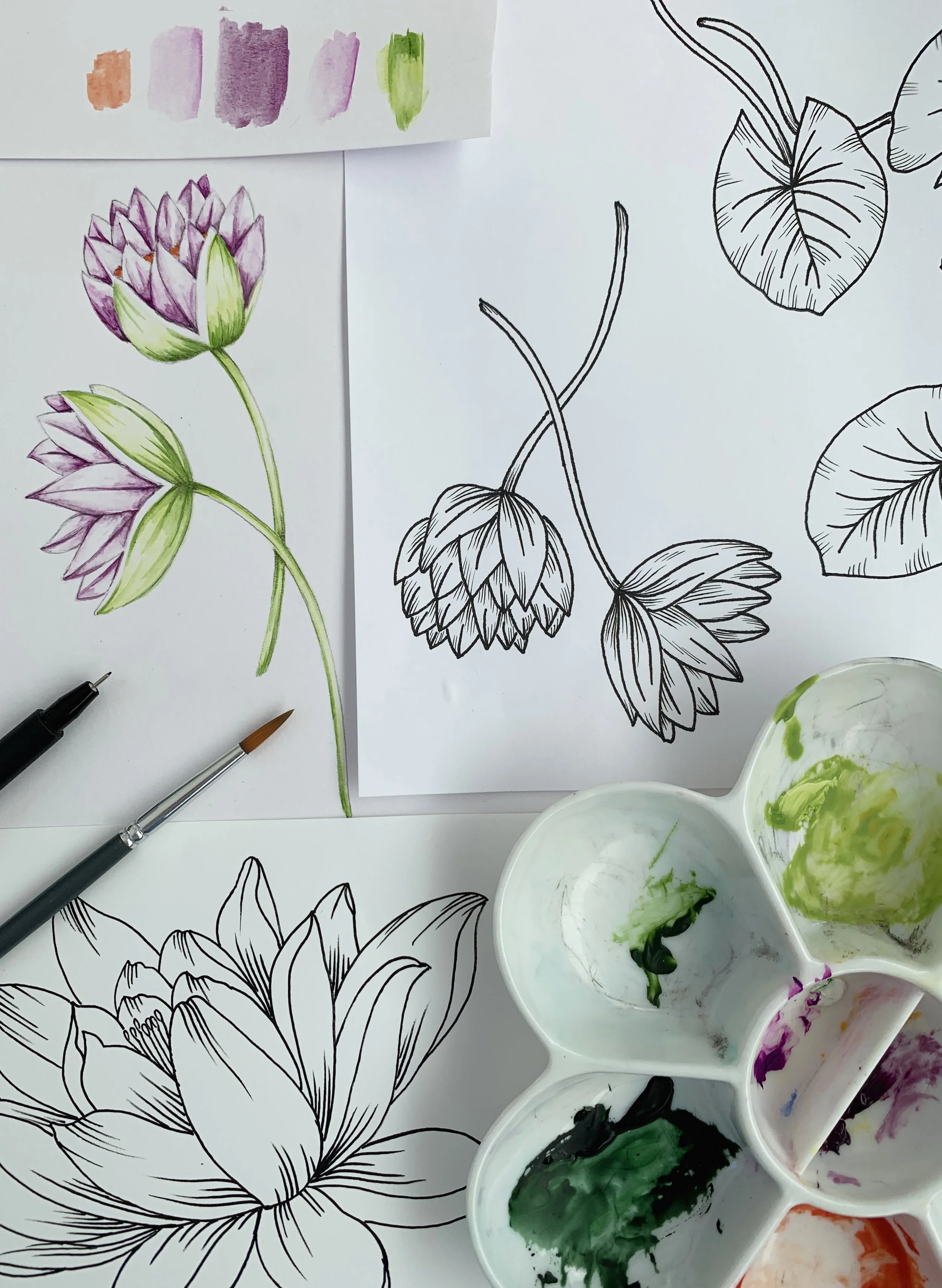 Happy x Nature - Waterlily