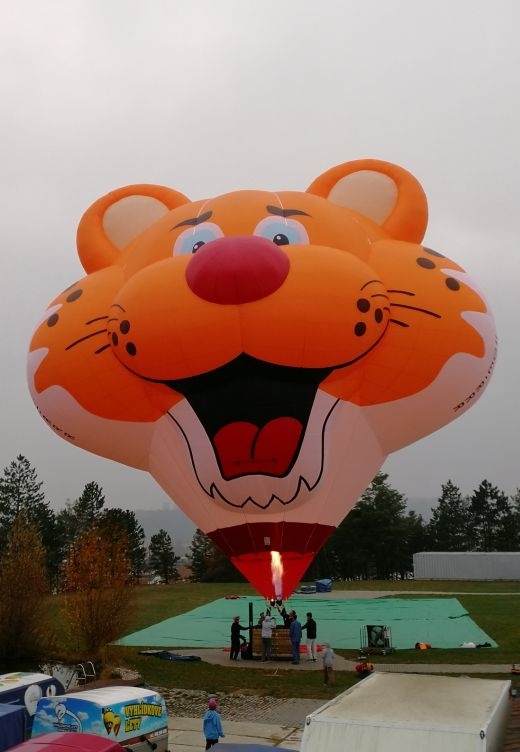 Hugo Cat Balloon.jpg