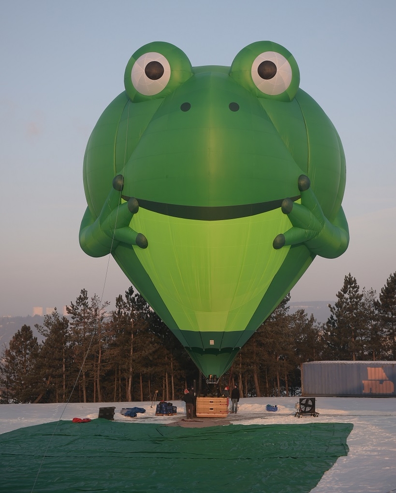 Frog Balloon.jpg