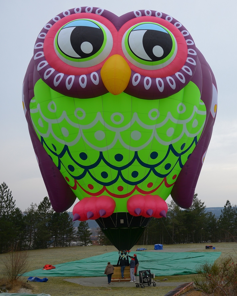 Owl Balloon.jpg