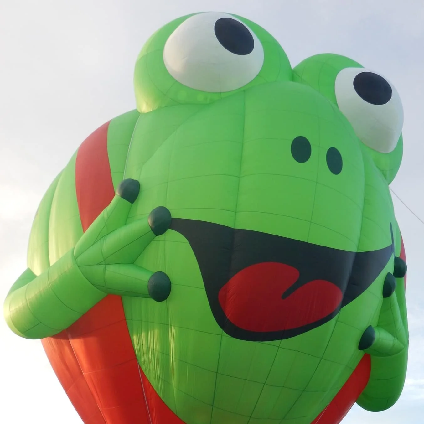 Introducing Zaba the Frog Shape Balloon