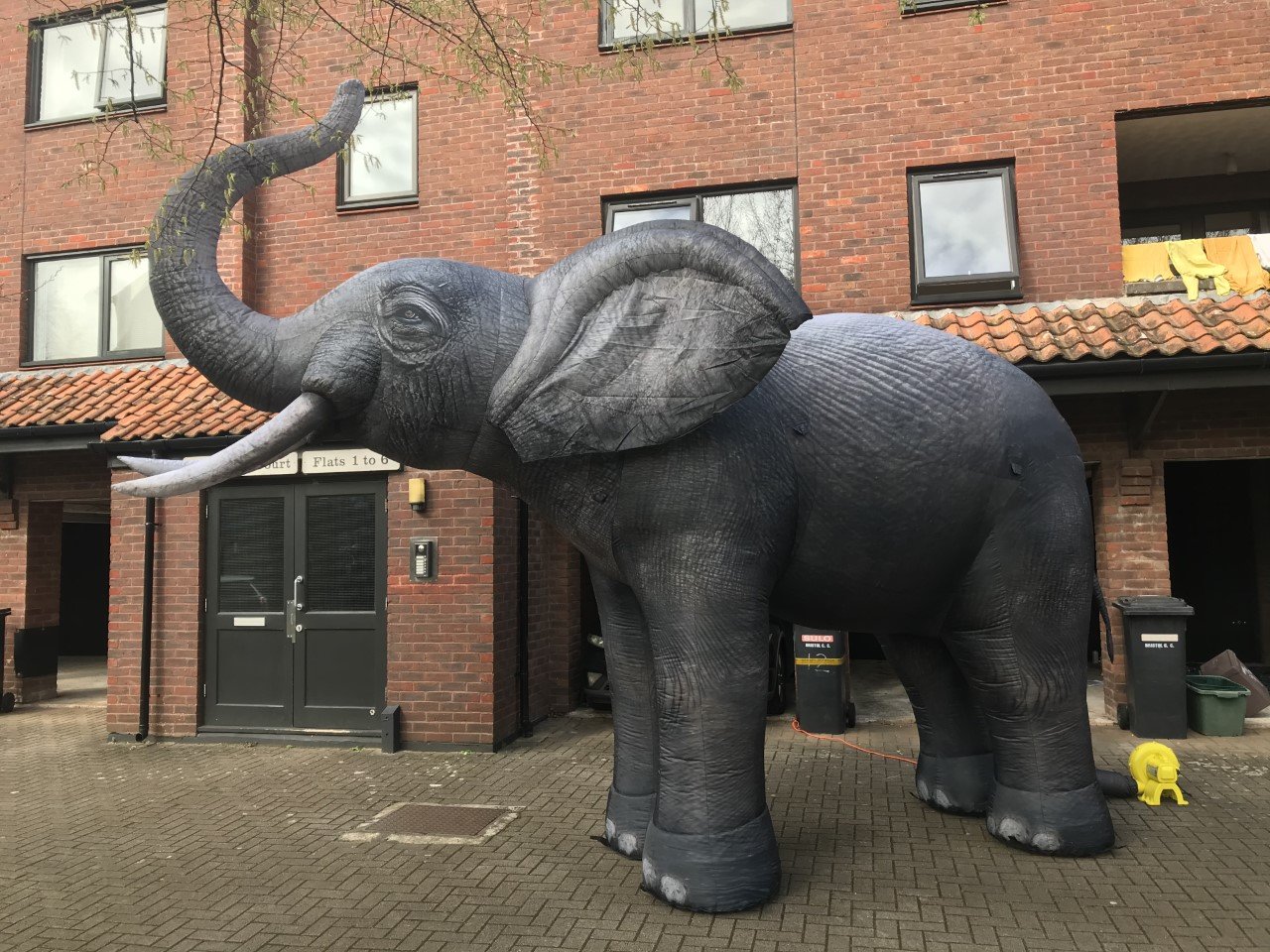 Animal Inflatable Elephant