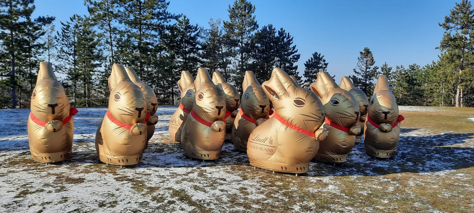 Giant Corporate Inflatable Bunnies 