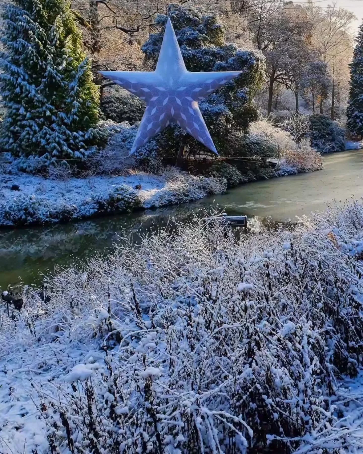Leonardslee Star is Born
