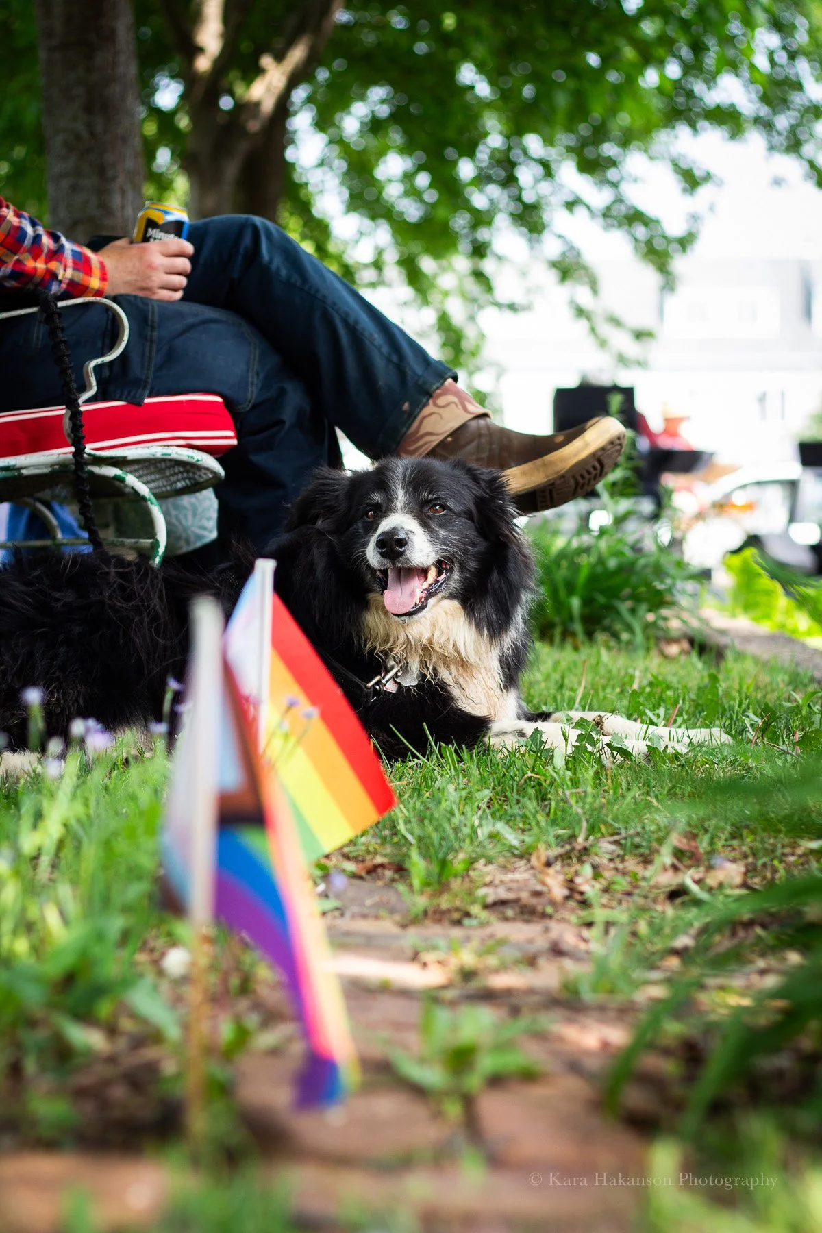 Honest Dog Books - Stand with the Banned Festival