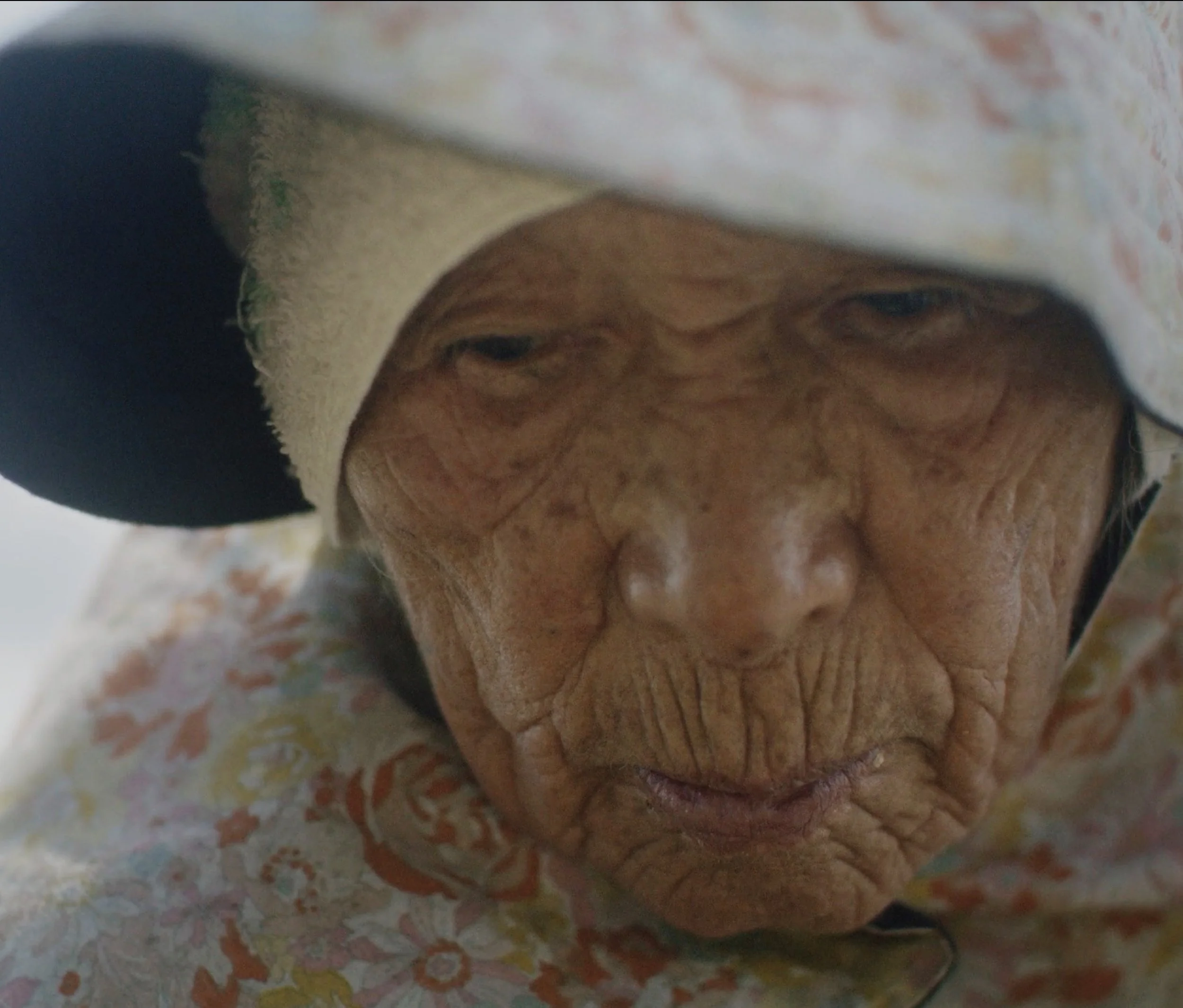 On the land between the sea